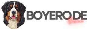 logo largo boyero de berna